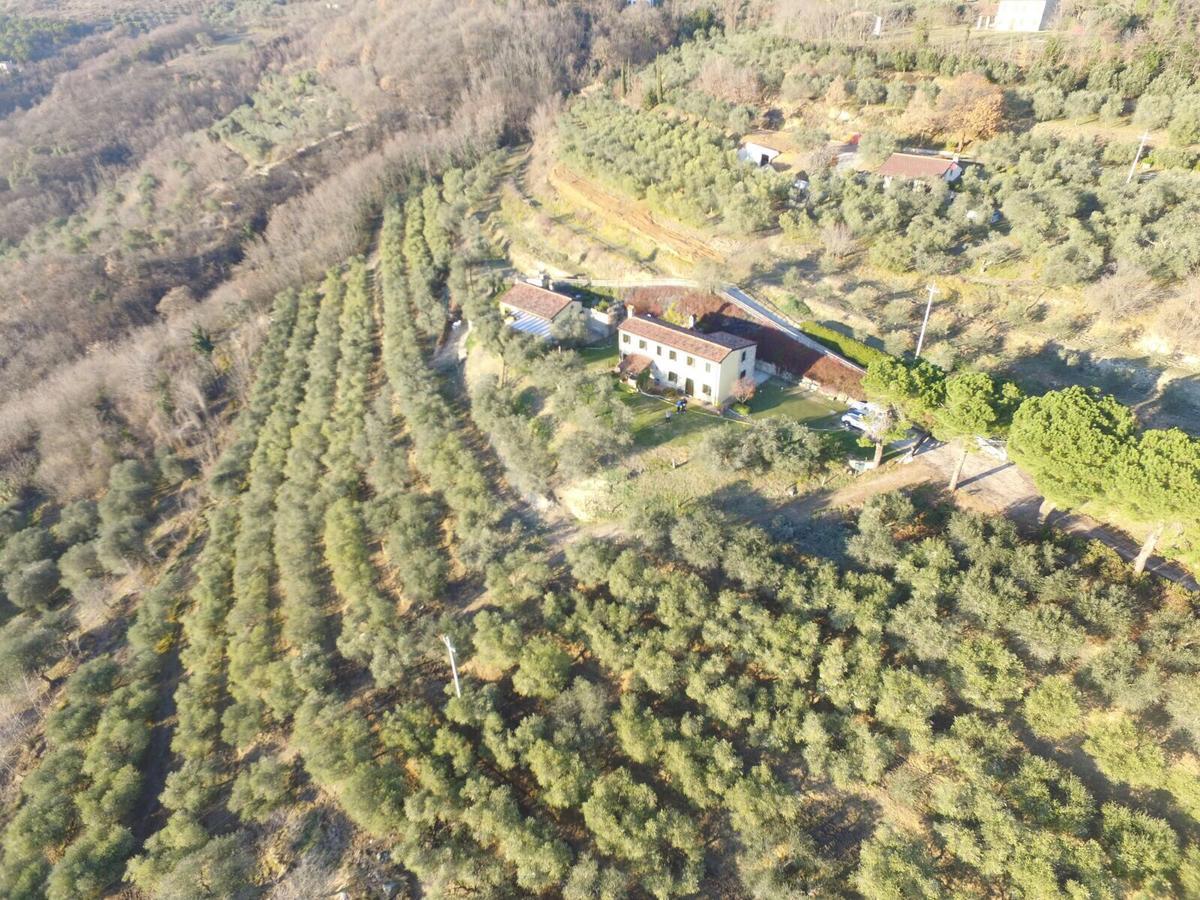 Holiday House Petrarca Arquà Petrarca Exterior photo